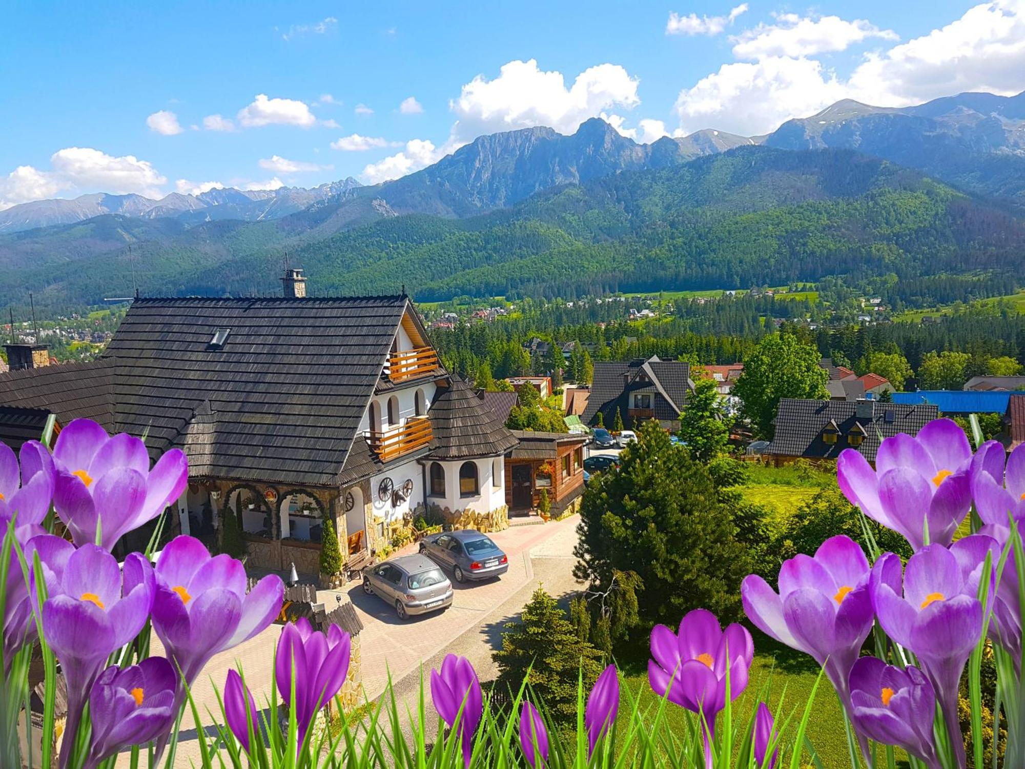 Gorski Palacyk Kompleks Obiektow Kościelisko Exterior foto